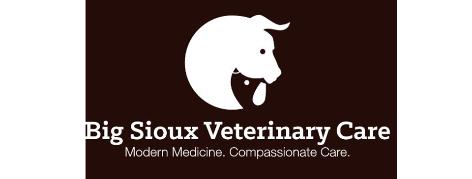Big Sioux Veterinary Care